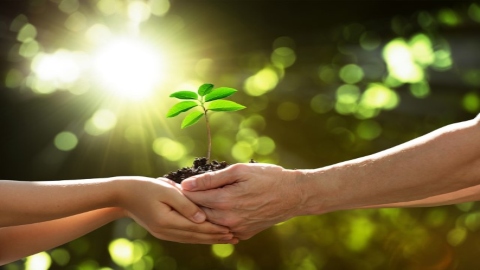Culture of Growth